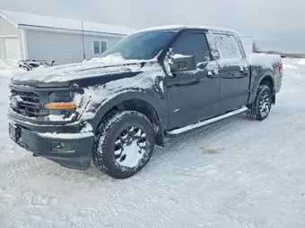 2025 Ford F-150 1FTEW3LP6SKE07004 Lot 72621675