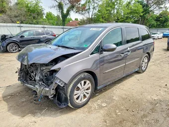 2017 Honda Odyssey 5FNRL5H36HB012905 Lot 52173556