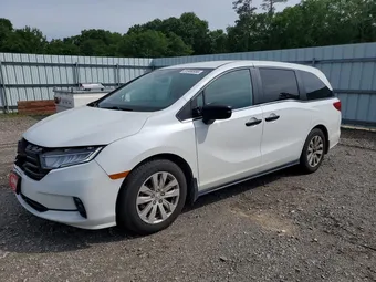 2021 Honda Odyssey 5FNRL6H21MB014827 Lot 51808556
