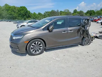 2022 Honda Odyssey 5FNRL6H78NB033937 Lot 51403926