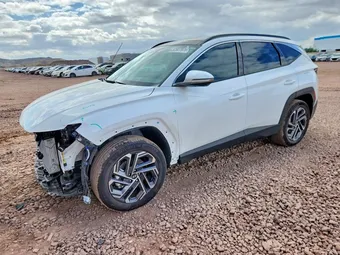 2025 Hyundai Tucson KM8JEDD13SU283002 Lot 52507976
