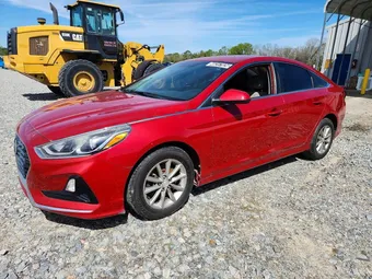 2019 Hyundai Sonata 5NPE24AF6KH804951 Lot 46257826