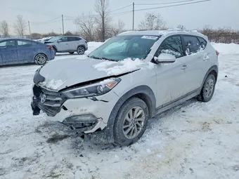 2017 Hyundai Tucson KM8J3CA41HU301178 Lot 77267485