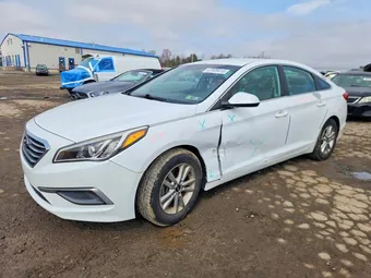 2016 Hyundai Sonata 5NPE24AF0GH310253 Lot 47839416