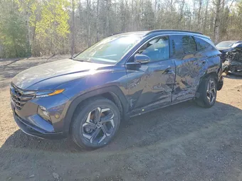 2024 Hyundai Tucson Hybrid KM8JCCD13RU209525 Lot 50910686
