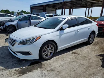 2017 Hyundai Sonata 5NPE24AF5HH594206 Lot 52574616