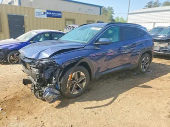 2025 Hyundai Tucson 5NMJB3DEXSH477379 Lot 48494256