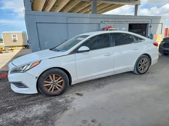 2016 Hyundai Sonata 5NPE24AF5GH394814 Lot 49858286