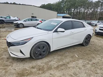 2023 Hyundai Elantra 5NPLM4AG0PH101556 Lot 79615245
