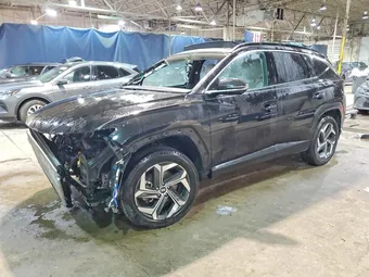 2024 Hyundai Tucson 5NMJECDE0RH296521 Lot 75818465