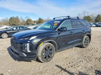2025 Hyundai Palisade KM8R3DGEXSU948663