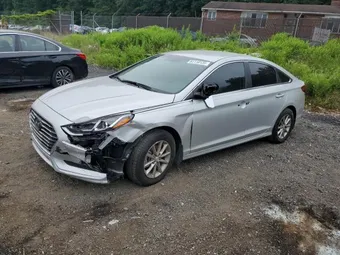 2019 Hyundai Sonata 5NPE24AF4KH736598 Lot 61110135