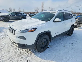 2017 Jeep Cherokee 1C4PJMDS9HD225164 Lot 73629495