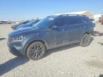 2023 Kia Sorento 5XYRKDLF7PG220264 Lot 50743906
