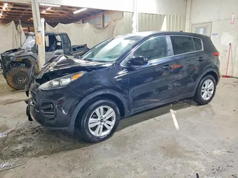 2017 Kia Sportage KNDPMCAC2H7229795 Lot 50231686