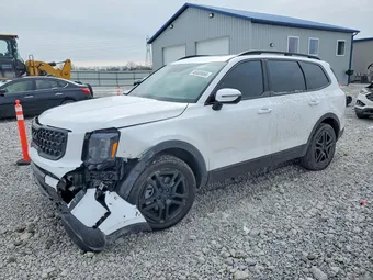 2025 Kia Telluride 5XYP3DGC2SG719020