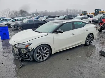 2021 Nissan Maxima 1N4AA6FV0MC501925