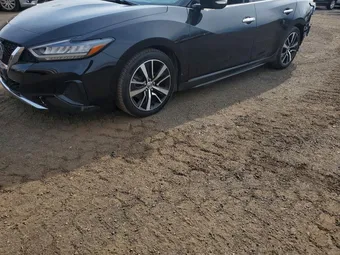 2022 Nissan Maxima 1N4AA6CV2NC503553
