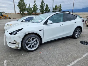 2021 Tesla Model Y Long 5YJYGDEE2MF081679 Lot 51377256