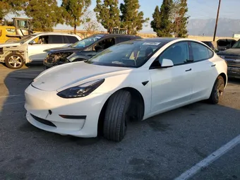 2021 Tesla Model 3 5YJ3E1EA0MF871820 Lot 47738696