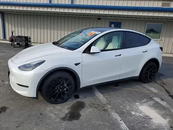 2023 Tesla Model Y 7SAYGDEE0PF844550 Lot 75658115