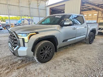 2023 Toyota Tundra 5TFNA5DB3PX095943 Lot 52426196