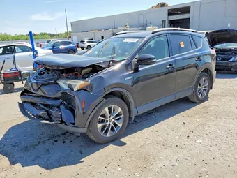 2016 Toyota RAV4 JTMRJREV5GD004190 Lot 50173786