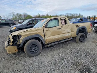 2019 Toyota Tacoma 5TFSZ5AN1KX183084 Lot 51547226