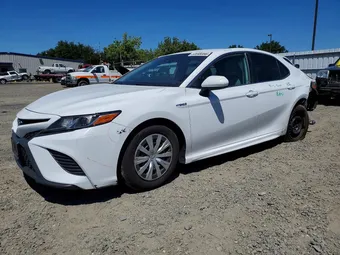 2019 Toyota Camry 4T1B21HK3KU514933 Lot 53595556