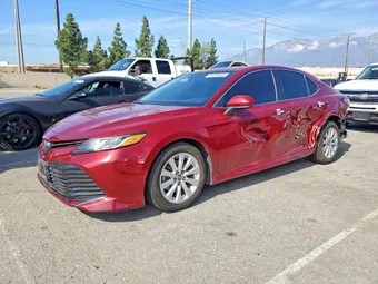 2019 Toyota Camry 4T1B11HK7KU810895 Lot 76418945