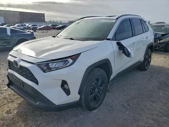 2019 Toyota RAV4 JTMP1RFV1KJ023593 Lot 97635895