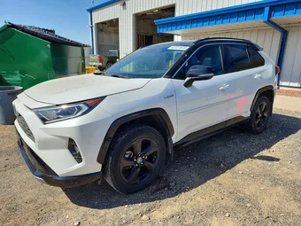 2019 Toyota RAV4 2T3EWRFV4KW005566 Lot 52727076