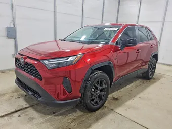 2025 Toyota RAV4 2T3H1RFV6SW367958 Lot 50484396