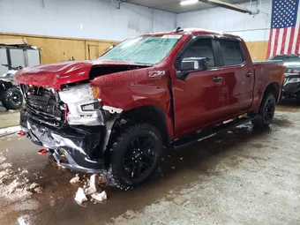 2019 Chevrolet Silverado 1500 3GCPYFEDXKG109117 Lot 73637085