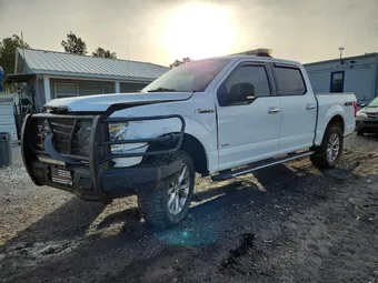 2016 Ford F-150 1FTEW1EG9GKE72762 Lot 97558945