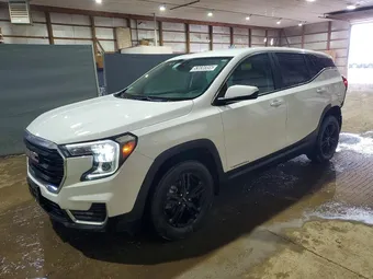2024 GMC Terrain 3GKALTEG0RL396289 Lot 53036966