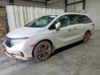 2024 Honda Odyssey 5FNRL6H90RB025872 Lot 49899056