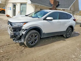 2020 Honda CR-V 2HKRW2H53LH666651 Lot 57455485