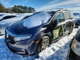 2022 Honda Odyssey 5FNRL6H71NB060901 Lot 72786095