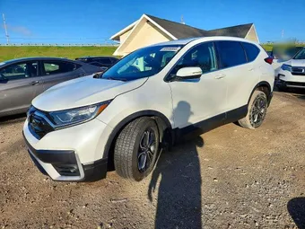 2020 Honda CR-V 7FARW2H84LE022332 Lot 50446866
