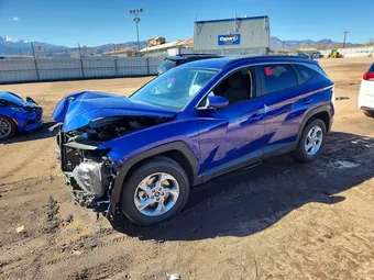 2024 Hyundai Tucson 5NMJBCDE9RH337611 Lot 41588026