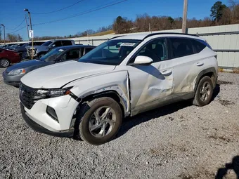 2024 Hyundai Tucson 5NMJBCDE0RH346620 Lot 98485605