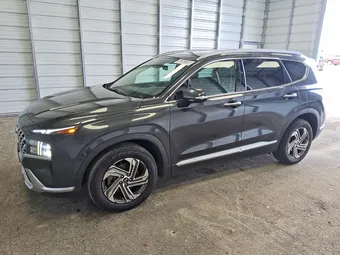 2023 Hyundai Santa Fe 5NMS34AJ9PH517225 Lot 53362236