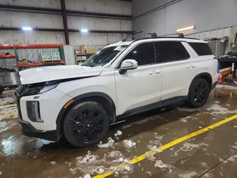 2025 Hyundai Palisade KM8R3DGE9SU930655