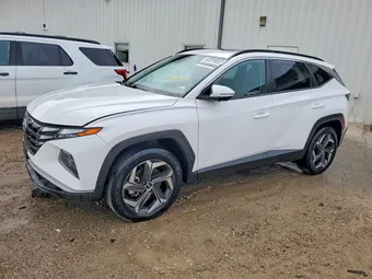 2023 Hyundai Tucson 5NMJFCAE1PH245611 Lot 54055166