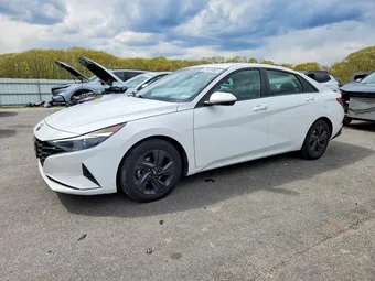 2023 Hyundai Elantra 5NPLM4AG9PH104231 Lot 52832716