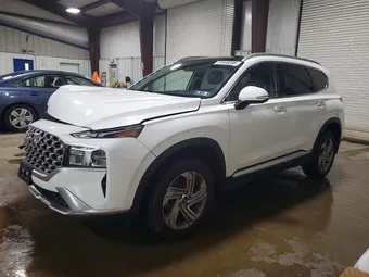 2023 Hyundai Santa Fe 5NMS3DAJ4PH511719 Lot 51648206