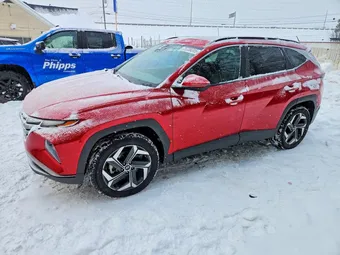 2023 Hyundai Tucson 5NMJFCAE0PH262867 Lot 75738315