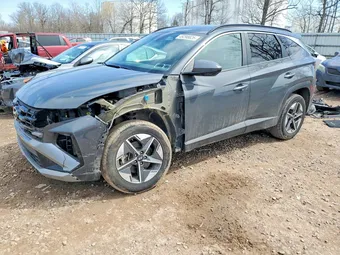 2025 Hyundai Tucson 5NMJBCDE2SH460608 Lot 49298826
