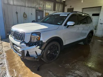 2025 Kia Telluride 5XYP5DGC1SG590777